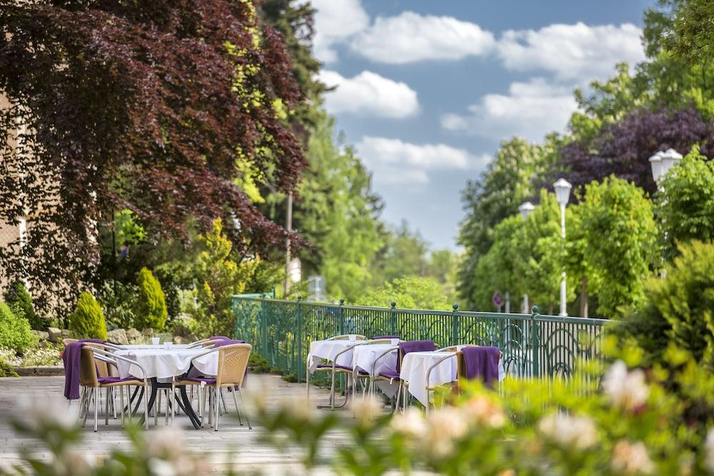 Villa Regent Spa & Wellness Mariánské Lázně Eksteriør billede