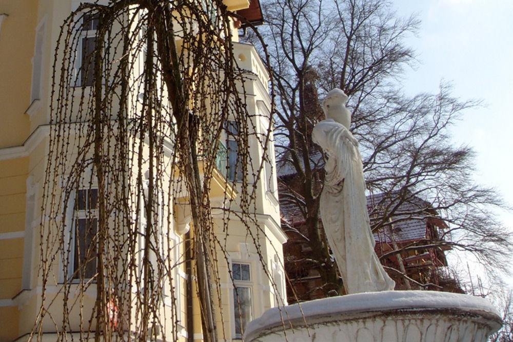 Villa Regent Spa & Wellness Mariánské Lázně Eksteriør billede